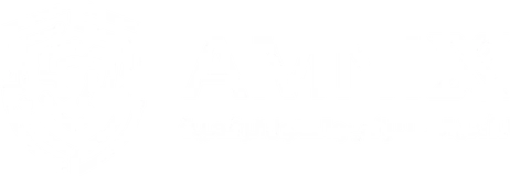 Amnix