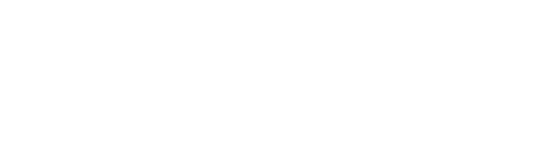 CyberNetics